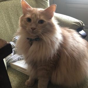 Meet your Posher, Andrea